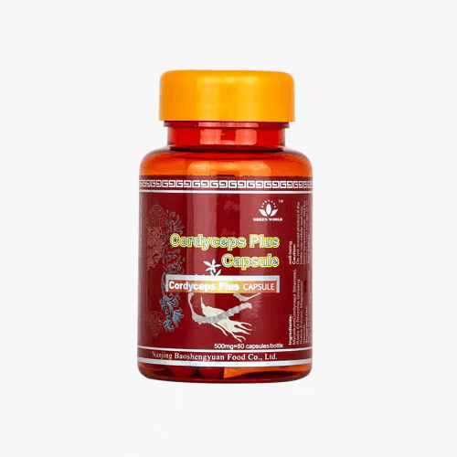 Cordyceps Plus